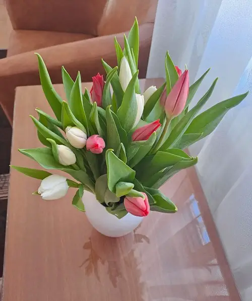 Latest Ways to Showcase Tulips 2