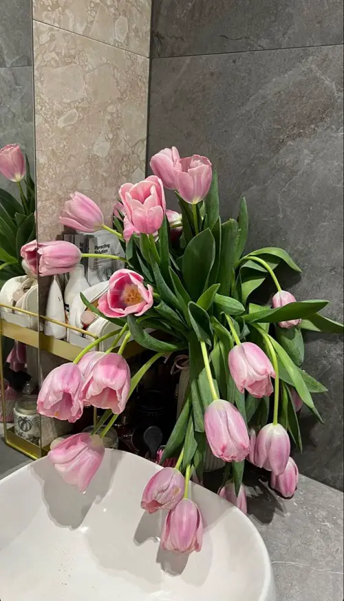 Best Ways to Showcase Tulips 5