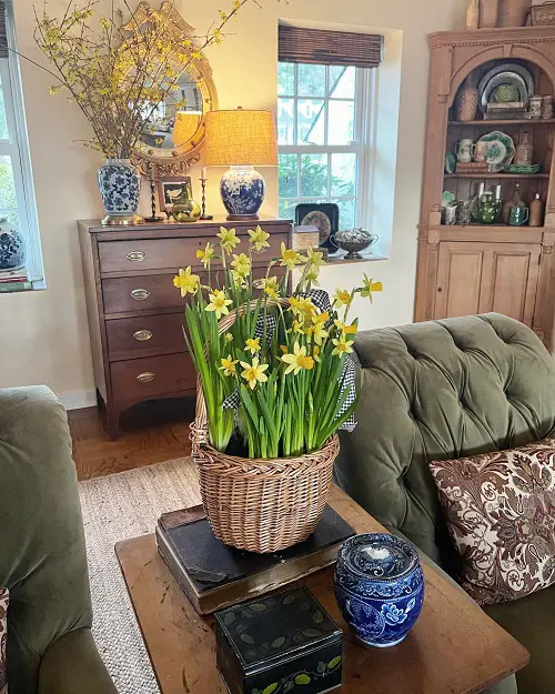 Inspiring Ways to Showcase Daffodils 1