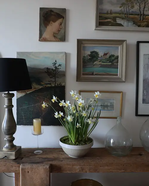 Inspiring Ways to Showcase Daffodils 2