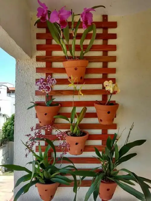 Orchids Arrangements Ideas 2