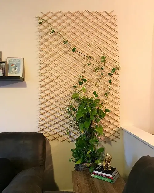 Pothos Trellis Indoor 2