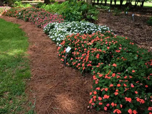 Mulch Based on Compost