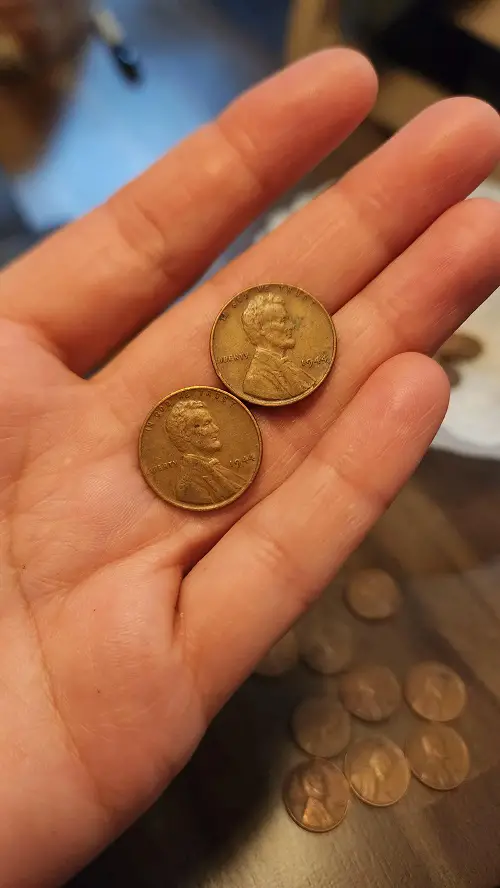 Why People Are Burying Pennies in Snake Plant Soil—A Hidden Gardening Trick 1