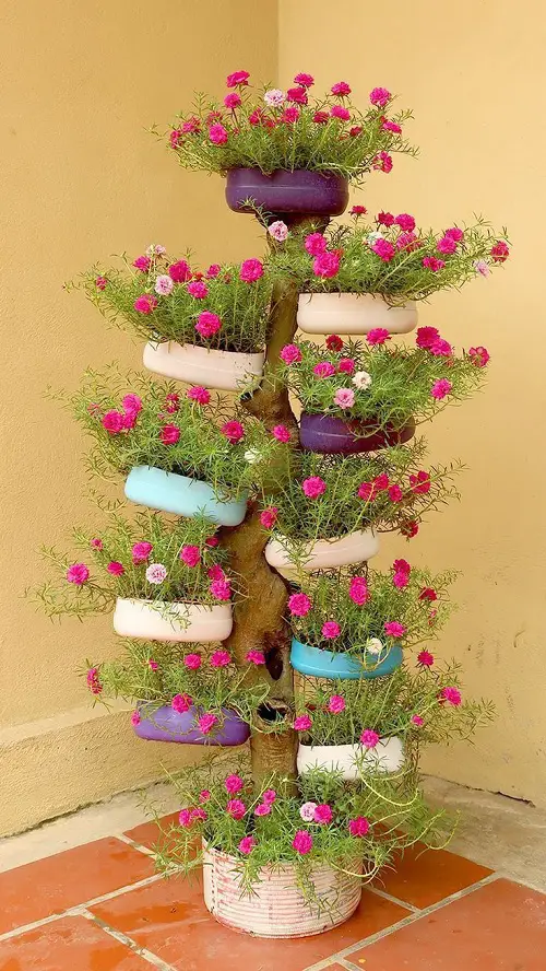 diy portulaca planter