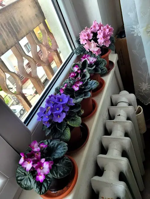 Promotes Better Air Circulation