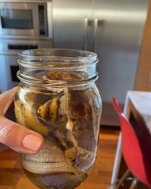 banana peel water