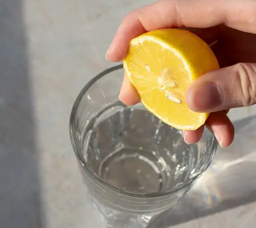 Lemon Juice