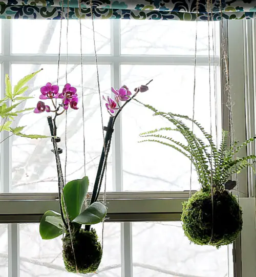 Simple orchid planter 2