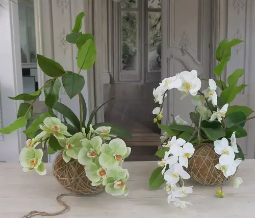 Simple orchid planter 3