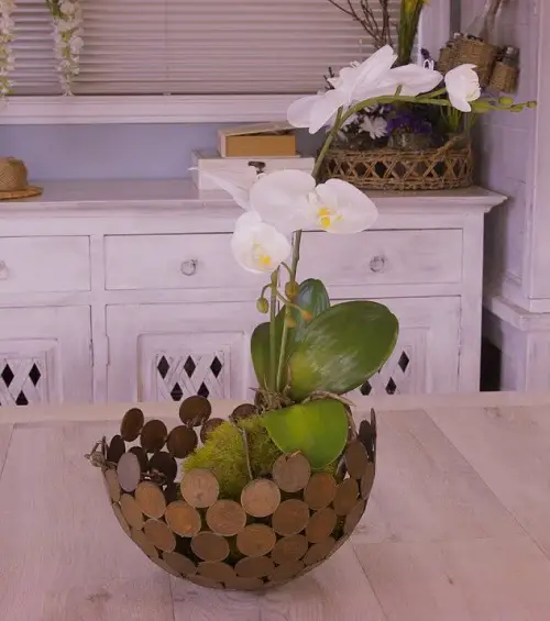 Simple orchid planter 4