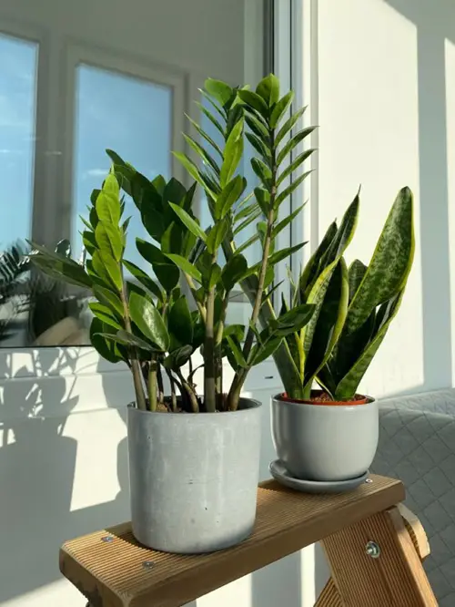 Stops Pots from Slipping
