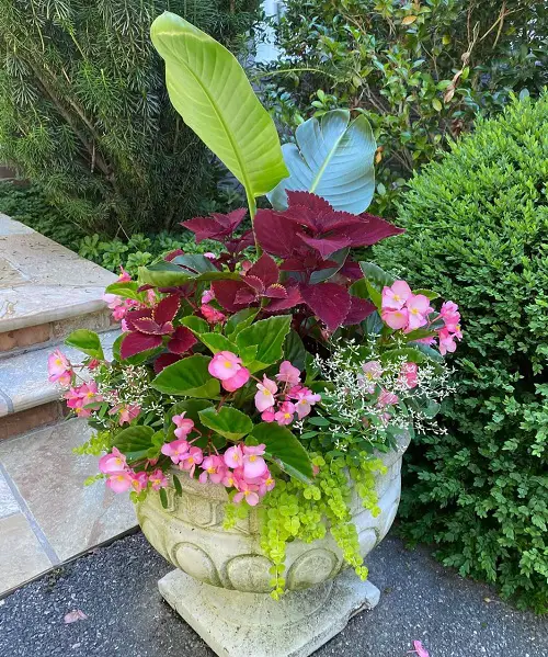 Go With a Goblet Planter