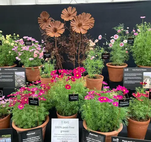 cottage gardens
