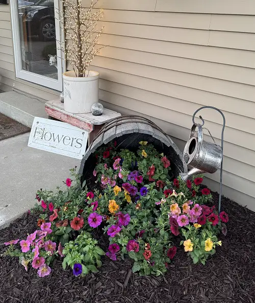 Longest Blooming Annuals For Nonstop Color Till Frost 2