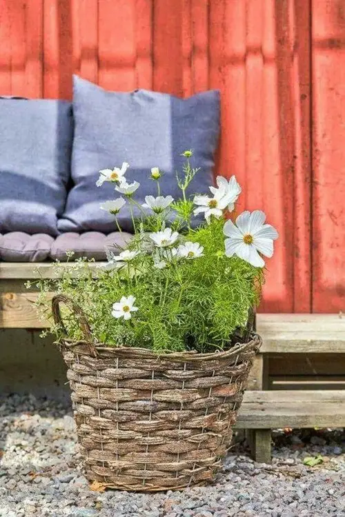 Wicker Basket Planter
