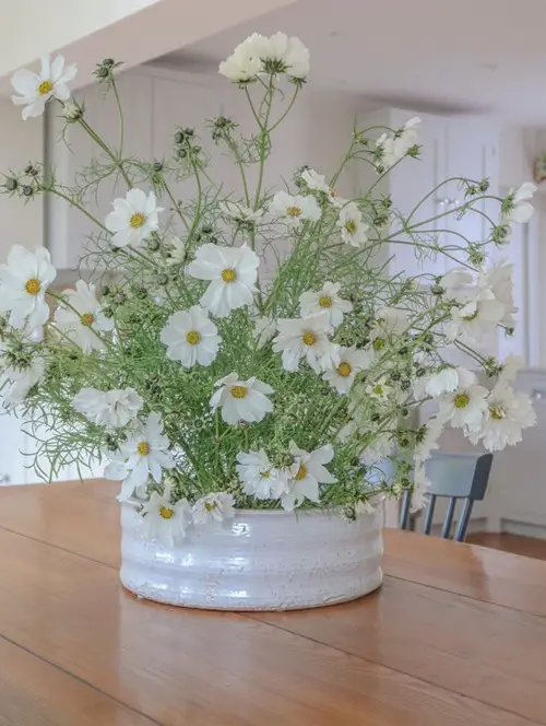 shallow ceramic pot